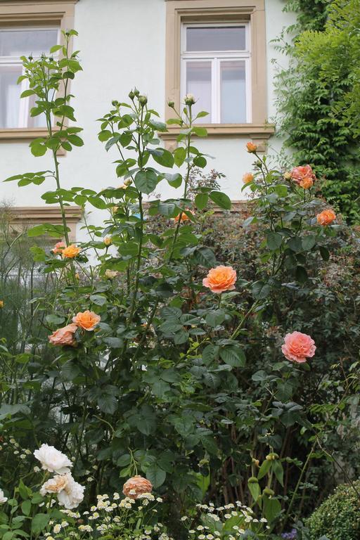 Maison Mille Fleurs Sankt Julian Exterior foto